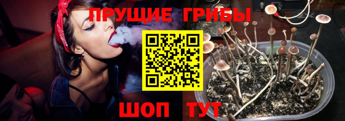 Псилоцибиновые грибы Psilocybine cubensis  Вход с VPN  Хасавюрт 
